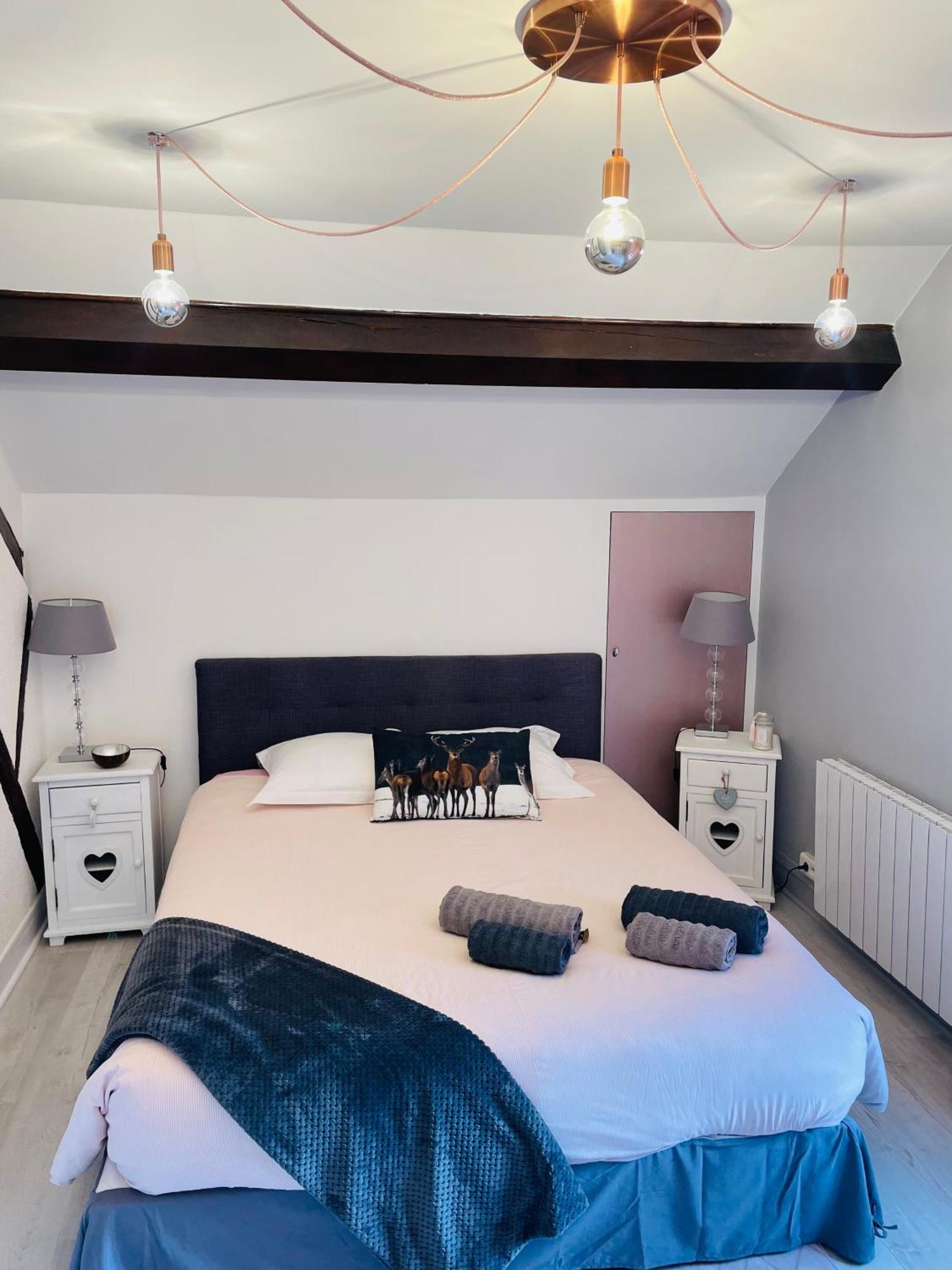 Hébergement de vacances La Demeure Du Cerf Elegant Prive En Sologne Pour 6 Personnes Avec Jacuzzi Et Piscine Chauffee A Proximite Immediate Parc Ffe Center Parc Et Proche Zoo De Beauval *